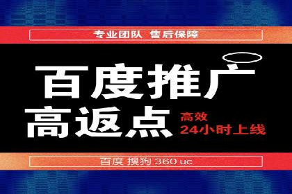 SEM主管实战技巧：案例分享与解读